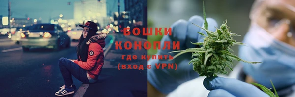 сатива Протвино